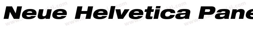 Neue Helvetica Paneuropean 93 Exten字体转换